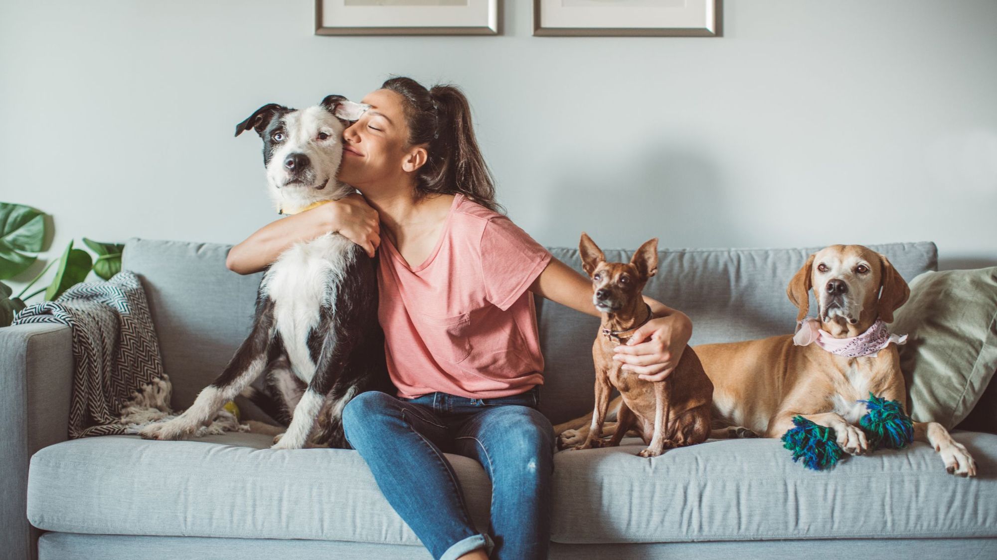 How An Emotional Support Pet Improves Your Mental Health – CircleDNA