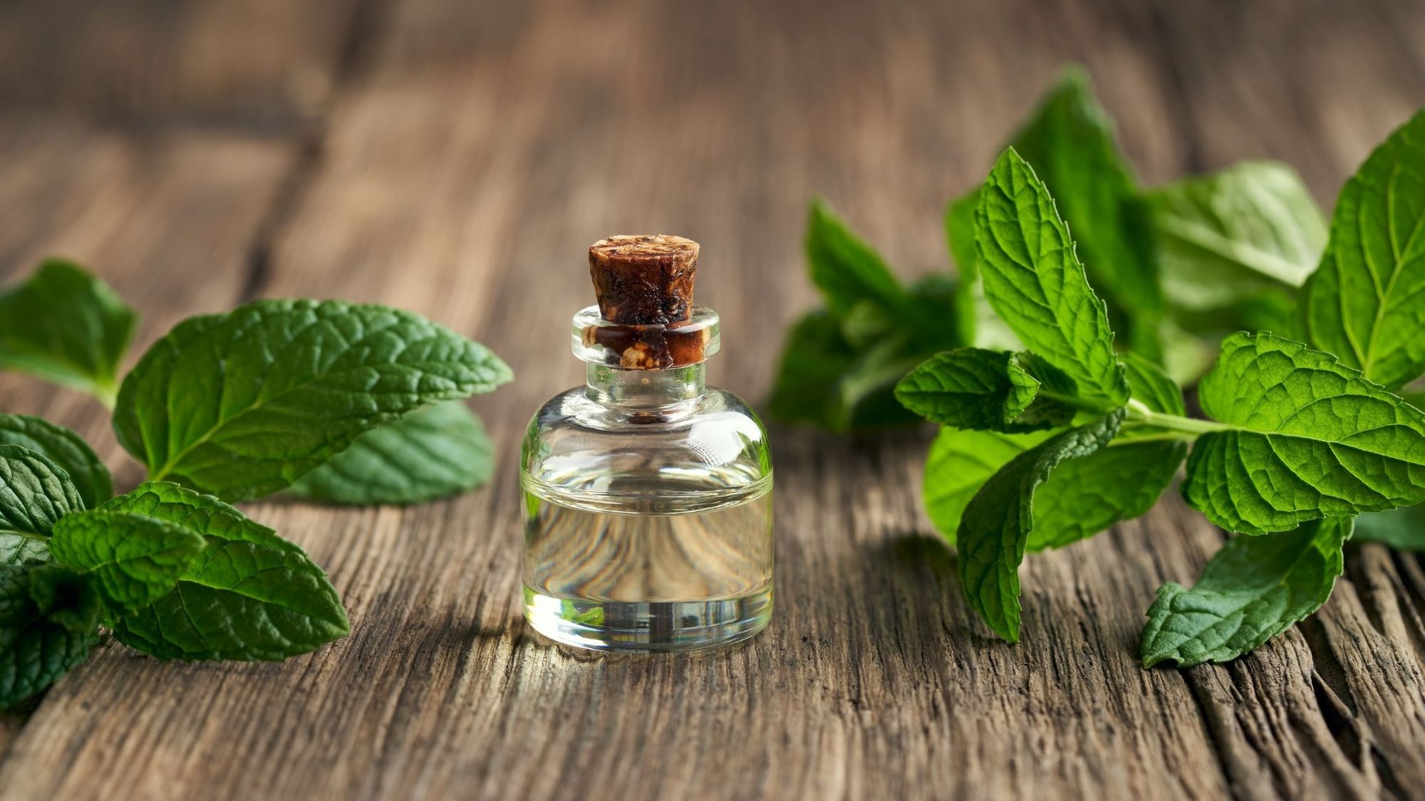 The Best 11 Essential Oils and their Benefits