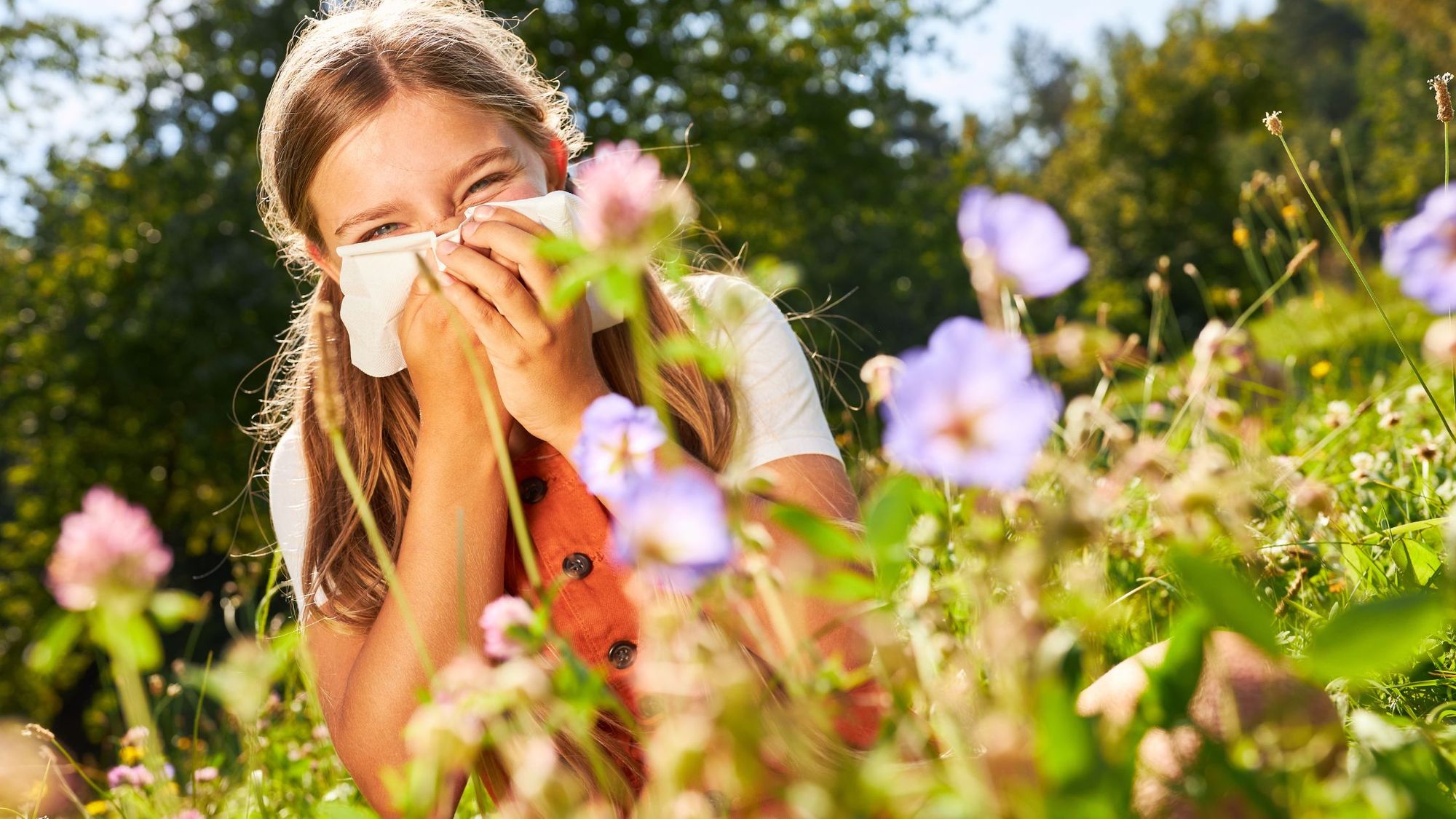 Hay Fever Symptoms, Causes, and Treatment CircleDNA