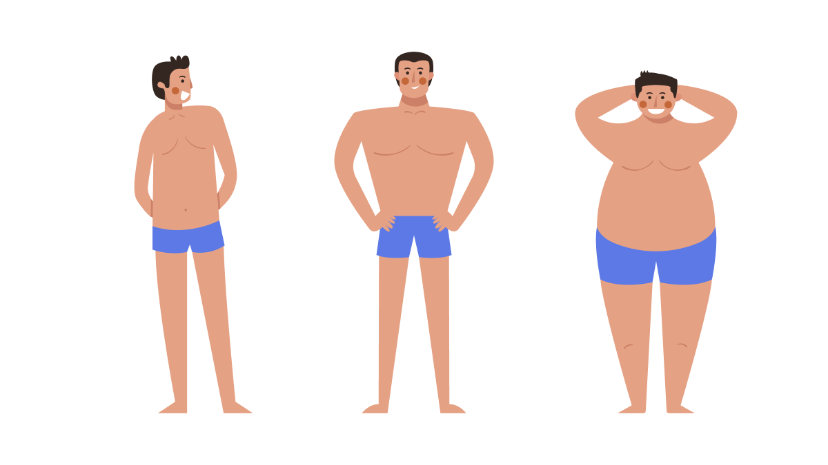 Ectomorph, Mesomorph, and Endomorph Body Types 